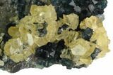 Blue-Green Fluorite and Yellow Calcite on Quartz - Fluorescent! #128556-2